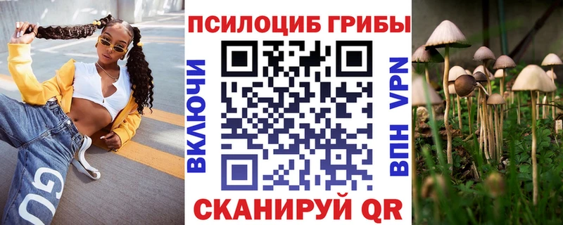 Купить закладки  Сусуман  Галлюциногенные грибы GOLDEN TEACHER 