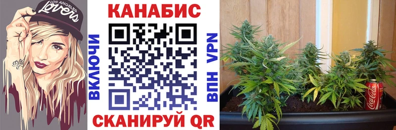 Каннабис семена  Купить закладки  Сусуман 